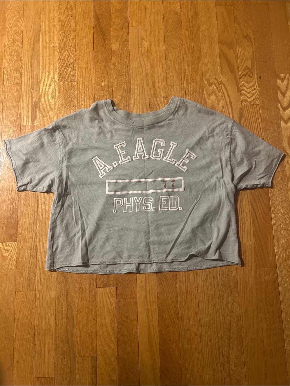American Eagle Outfitters Light Blue Phys. Ed. Kids Tee